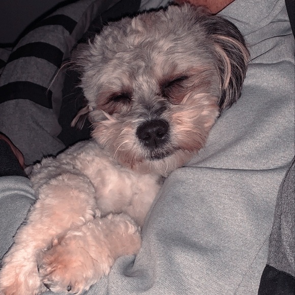 Meet your Posher, Jessica - Picture 9 of 9